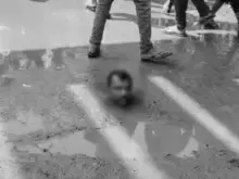 Bihar Double Murder in Araria: Nabi Hussain Killed, Accused Ravi Chauhan Lynched by Mob in Forbesganj